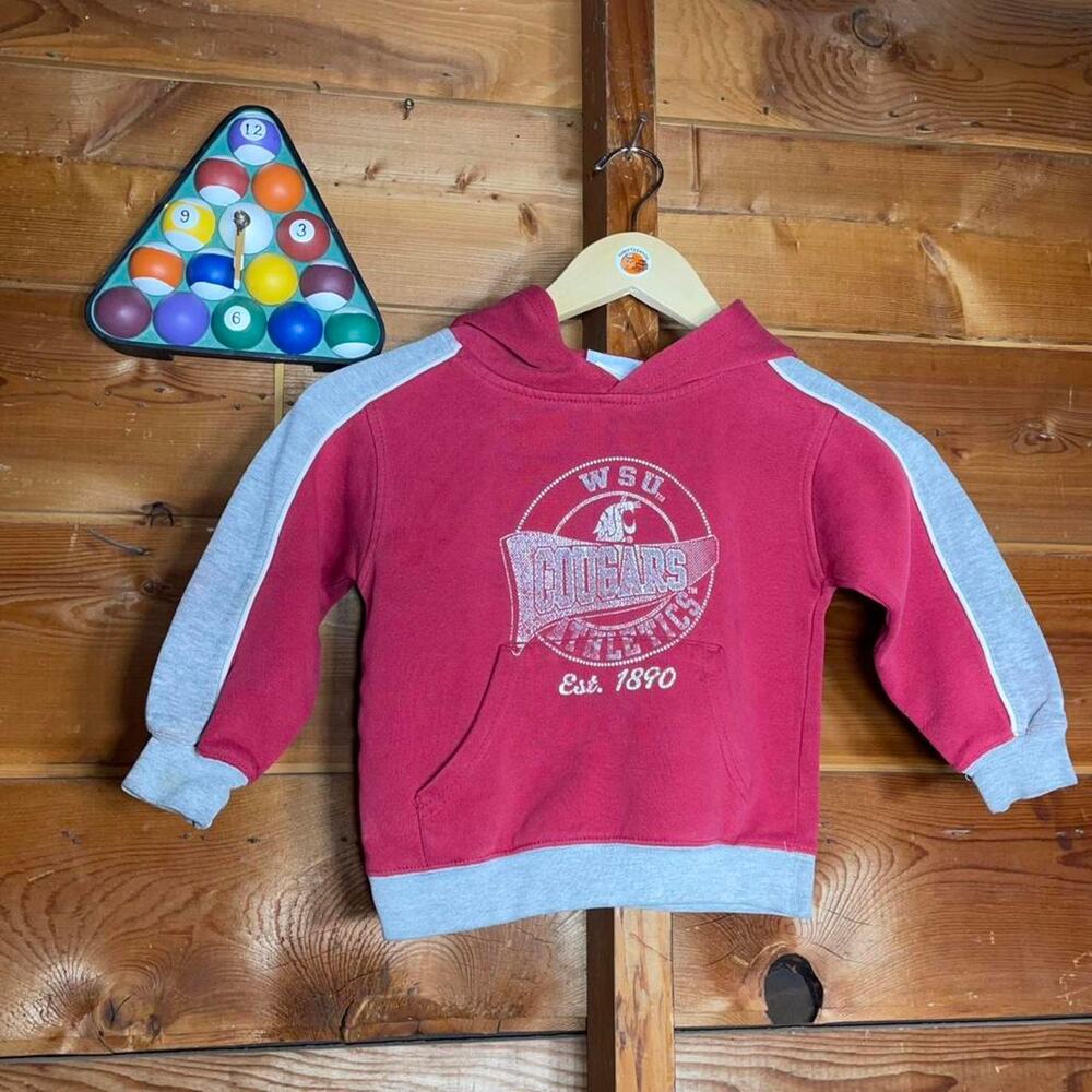 Little kids washington state university hoodie
